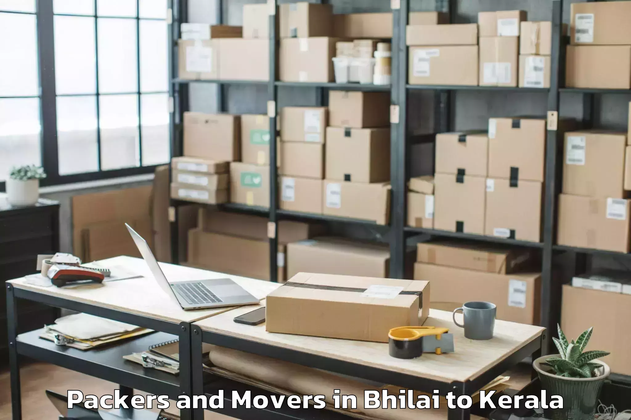 Professional Bhilai to Mundakayam Packers And Movers